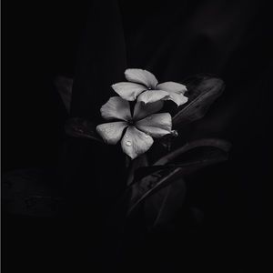 Meet your Posher, Marcus